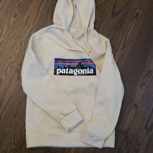 Patagonia Hoodie
